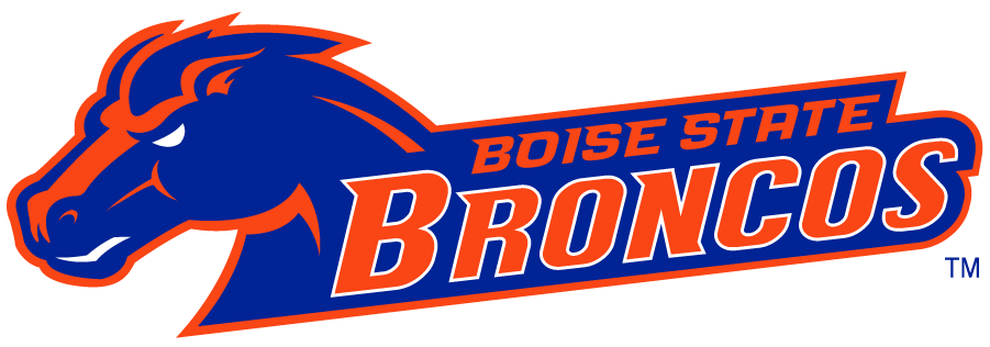 Boise State Broncos 2002-2012 Secondary Logo v22 diy iron on heat transfer